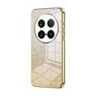 For vivo X100 Ultra Gradient Glitter Powder Electroplated Phone Case(Gold) - 1