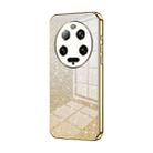 For Xiaomi 13 Ultra Gradient Glitter Powder Electroplated Phone Case(Gold) - 1
