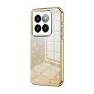 For Xiaomi 14 Pro Gradient Glitter Powder Electroplated Phone Case(Gold) - 1