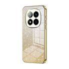 For Redmi Note 14 Pro+ Gradient Glitter Powder Electroplated Phone Case(Gold) - 1