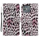 For Blackview A55 Pro Painted Pattern Horizontal Flip Leather Phone Case(Leopard) - 1