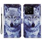 For Xiaomi 13T 5G Painted Pattern Horizontal Flip Leather Phone Case(White Wolf) - 1