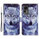 For Ulefone Note 14 Painted Pattern Horizontal Flip Leather Phone Case(White Wolf) - 1