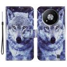 For ZTE Blade A73 5G Painted Pattern Horizontal Flip Leather Phone Case(White Wolf) - 1