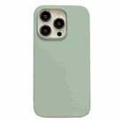 For iPhone 12 Pro Max Electroplated Metal Lens Frame Design MagSafe Silicone Phone Case(Light Green) - 1