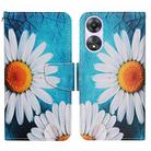 For OPPO A78 4G Colored Drawing Pattern Leather Phone Case(Chrysanthemum) - 1