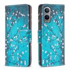 For OnePlus Nord CE4 Lite Global Drawing Pattern Leather Phone Case(Plum Blossom) - 1