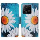 For Xiaomi Redmi 13T Colored Drawing Pattern Leather Phone Case(Chrysanthemum) - 1
