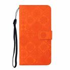 For Google Pixel 9 / 9 Pro Ethnic Style Embossed Pattern Leather Phone Case(Orange) - 2