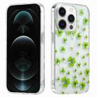 For iPhone 12 Pro Electroplated Symphony Phone Case(Four-leaf-clover) - 1