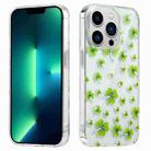 For iPhone 13 Pro Max Electroplated Symphony Phone Case(Four-leaf-clover) - 1