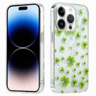 For iPhone 14 Pro Electroplated Symphony Phone Case(Four-leaf-clover) - 1