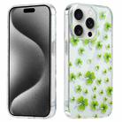 For iPhone 15 Pro Electroplated Symphony Phone Case(Four-leaf-clover) - 1