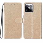 For Xiaomi 15 Pro Glitter Powder Flip Leather Phone Case(Gold) - 1