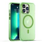 For iPhone 13 Pro MagSafe Frosted Translucent TPU + PC Full Coverage Phone Case(Green) - 1