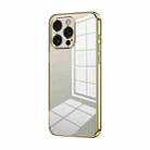 For iPhone 15 Pro Max Transparent Plating Fine Hole Phone Case(Gold) - 1