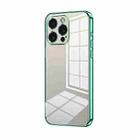 For iPhone 15 Pro Max Transparent Plating Fine Hole Phone Case(Green) - 1