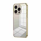 For iPhone 15 Pro Transparent Plating Fine Hole Phone Case(Gold) - 1