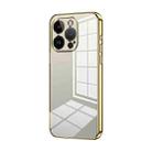 For iPhone 14 Pro Transparent Plating Fine Hole Phone Case(Gold) - 1