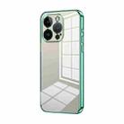 For iPhone 14 Pro Transparent Plating Fine Hole Phone Case(Green) - 1