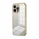 For iPhone 14 Pro Max Transparent Plating Fine Hole Phone Case(Gold) - 1