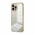 For iPhone 13 Pro Max Transparent Plating Fine Hole Phone Case(Gold) - 1