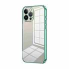For iPhone 13 Pro Max Transparent Plating Fine Hole Phone Case(Green) - 1