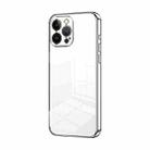 For iPhone 13 Pro Max Transparent Plating Fine Hole Phone Case(Silver) - 1