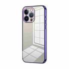 For iPhone 13 Pro Transparent Plating Fine Hole Phone Case(Purple) - 1