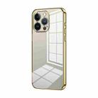 For iPhone 13 Pro Transparent Plating Fine Hole Phone Case(Gold) - 1