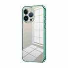 For iPhone 13 Pro Transparent Plating Fine Hole Phone Case(Green) - 1