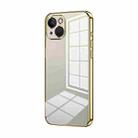 For iPhone 13 Transparent Plating Fine Hole Phone Case(Gold) - 1