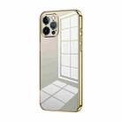 For iPhone 12 Pro Max Transparent Plating Fine Hole Phone Case(Gold) - 1