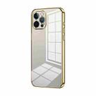 For iPhone 12 Pro Transparent Plating Fine Hole Phone Case(Gold) - 1