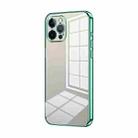 For iPhone 12 Pro Transparent Plating Fine Hole Phone Case(Green) - 1