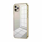 For iPhone 11 Pro Max Transparent Plating Fine Hole Phone Case(Gold) - 1