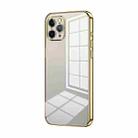 For iPhone 11 Pro Transparent Plating Fine Hole Phone Case(Gold) - 1