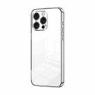 For iPhone 16 Pro Max Transparent Plating Fine Hole Phone Case(Silver) - 1