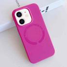 For iPhone 11 MagSafe Magnetic Liquid Silicone Phone Case(Rose Red) - 1