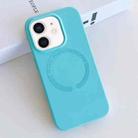 For iPhone 11 MagSafe Magnetic Liquid Silicone Phone Case(Lake Blue) - 1