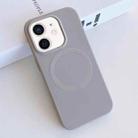 For iPhone 12 MagSafe Magnetic Liquid Silicone Phone Case(Grey) - 1