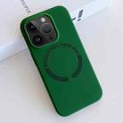 For iPhone 12 Pro MagSafe Magnetic Liquid Silicone Phone Case(Green) - 1