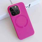 For iPhone 12 Pro MagSafe Magnetic Liquid Silicone Phone Case(Rose Red) - 1