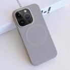 For iPhone 12 Pro Max MagSafe Magnetic Liquid Silicone Phone Case(Grey) - 1