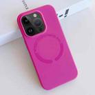 For iPhone 13 Pro MagSafe Magnetic Liquid Silicone Phone Case(Rose Red) - 1
