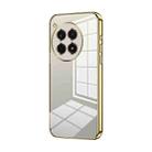 For OnePlus Ace 3 Pro Transparent Plating Fine Hole Phone Case(Gold) - 1