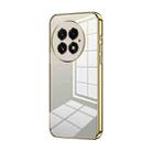 For OnePlus 13 Transparent Plating Fine Hole Phone Case(Gold) - 1