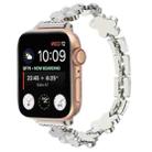 For Apple Watch Series 7 45mm 5-petaled Flower Zinc Alloy Chain Watch Band(Silver) - 1