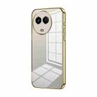 For Realme 11 / Narzo 60 Transparent Plating Fine Hole Phone Case(Gold) - 1