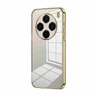 For vivo X100 Transparent Plating Fine Hole Phone Case(Gold) - 1